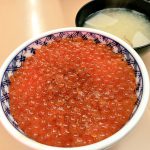 2016/5/30 札幌で食べたイクラ丼