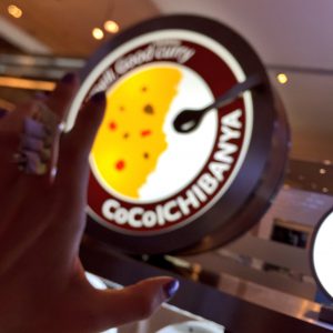 2016/6/19 ココイチの看板のメニュー